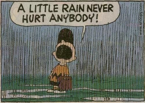 Charlie Brown in rain | Rain humor, Love rain, I love rain