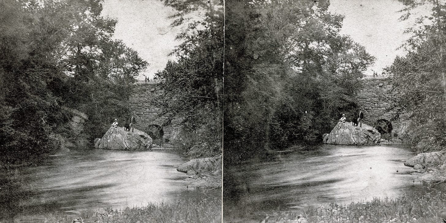 Man, woman and dog on rock in river near bridge