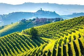 I 12 Migliori Tour di Degustazione Vini in Toscana - TourScanner