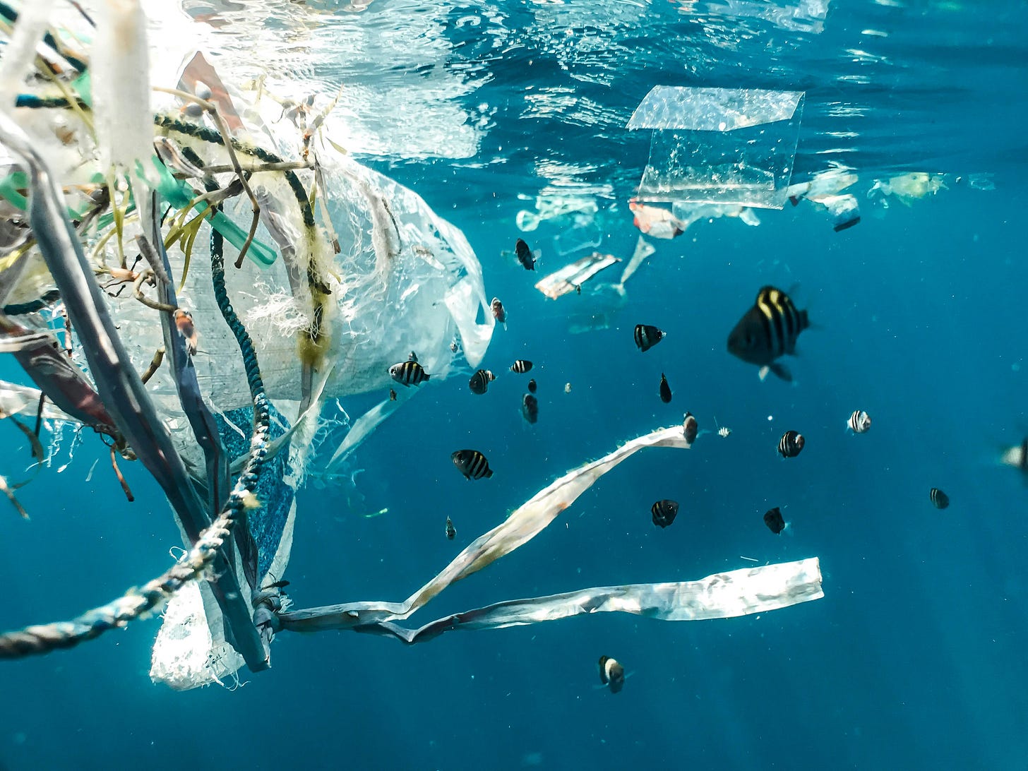 plastic debris floating underwater plastic debris floating underwater
