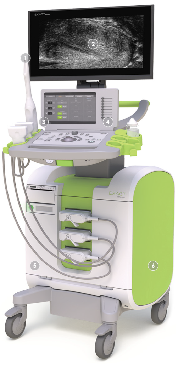ExactVu™ Micro-Ultrasound System - Exact Imaging.