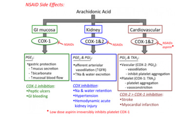 NSAID risk factors