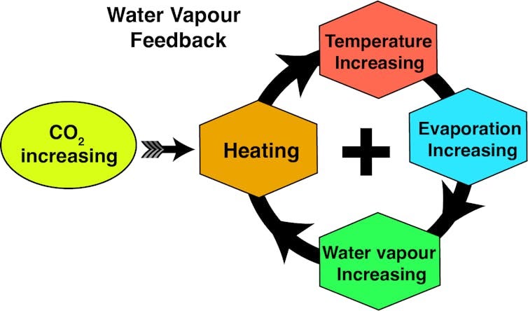 This graphic explains the water vapour feedback: increased heating promotes increased evaporation and higher atmospheric temperatures, which in turn lead to higher levels of atmospheric water vapour.
