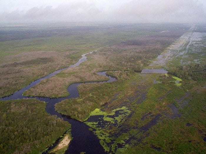 Kissimmee River Restoration | Audubon Florida
