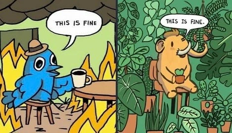 Twitter bird in flaming room with coffee saying “this is fine.”

Mastodon sitting in tranquil nature saying “this is fine.”