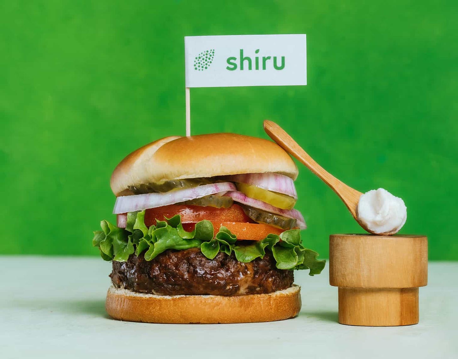 Shiru Launches Plant Protein-Based Fat for "Categorical Upgrade" of Alt  Meats - vegconomist - the vegan business magazine