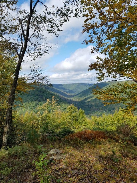 Red Run Gorge Vista-Quehanna Wild Area | Hike Pennsylvania with Jeff  Mitchell