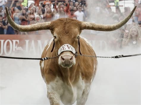 VIDEO: Texas Longhorns Mascot Charges Georgia's Bulldog | NCPR News