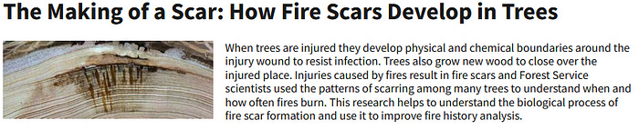 How tree scars are formed.