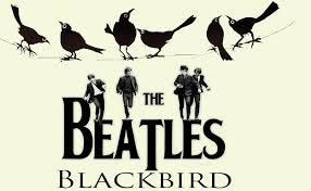 Blackbird The Beatles Lyric: A Timeless ...