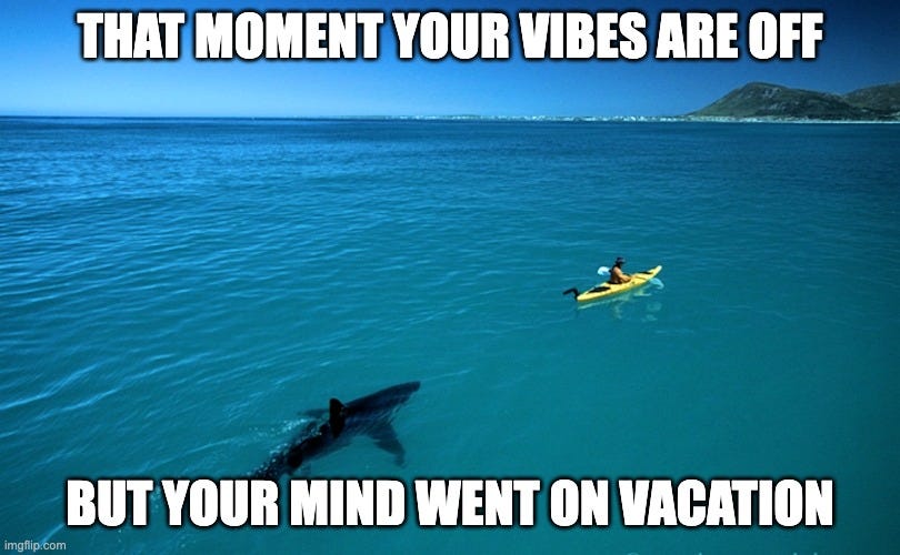 Kayak Shark | THAT MOMENT YOUR VIBES ARE OFF; BUT YOUR MIND WENT ON VACATION | image tagged in kayak shark | made w/ Imgflip meme maker