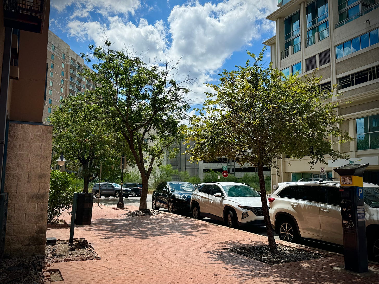 Landscaper trees and sidewalk