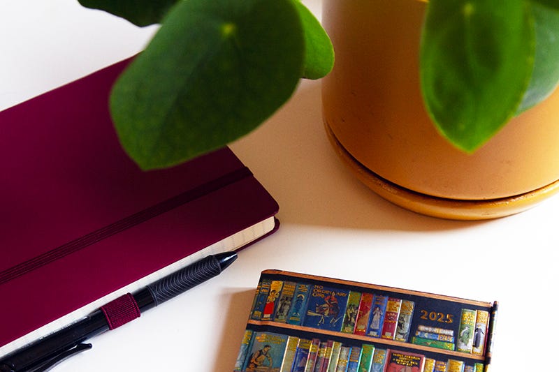 2025 planner, plum coloured diary with pen and a pot plant in a yellow planter.