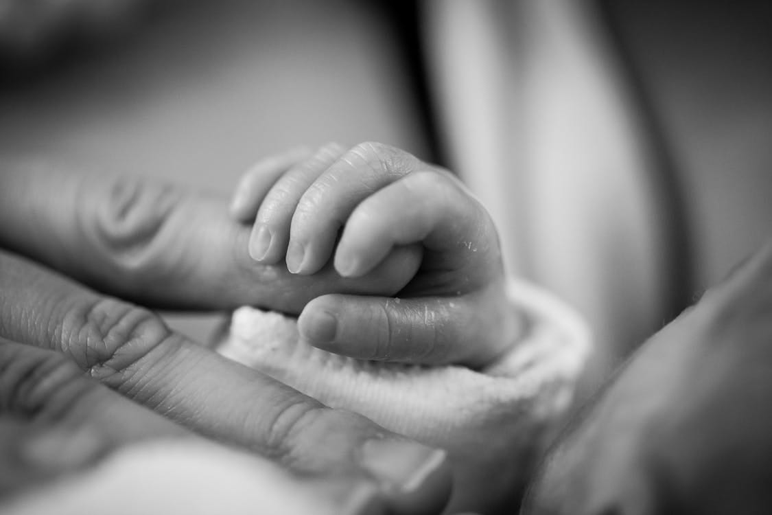 Free Grayscale Photography of Baby Holding Finger Stock Photo