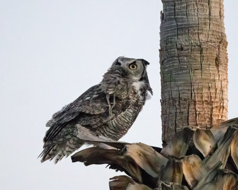 20240426-GHO-154-Edit.jpg