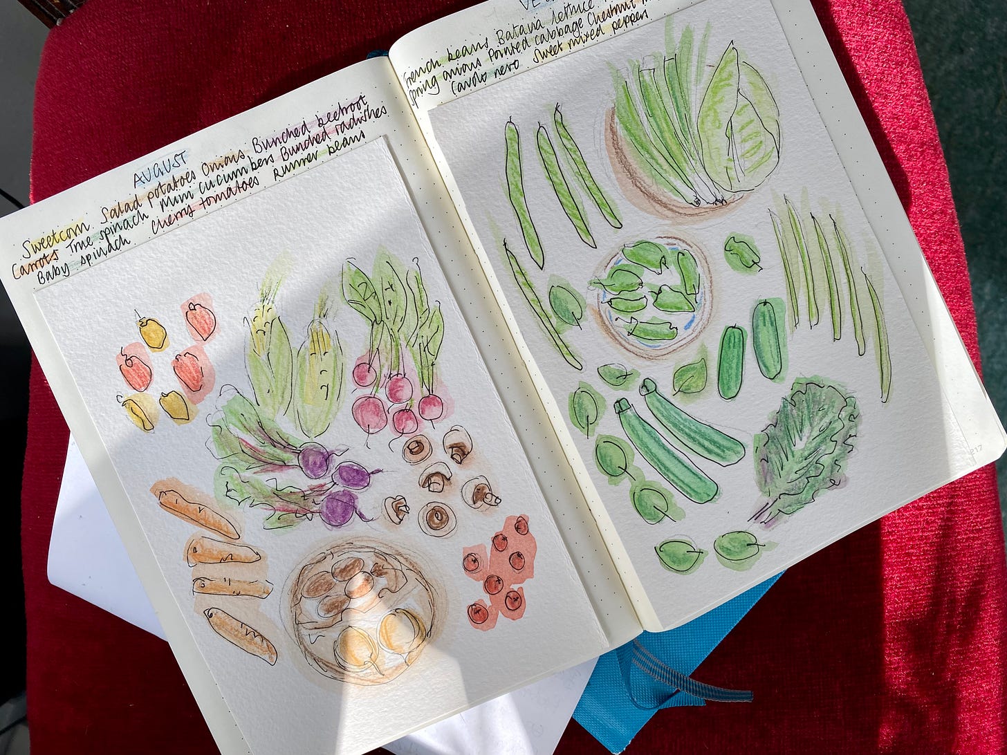 drawings of vegetables