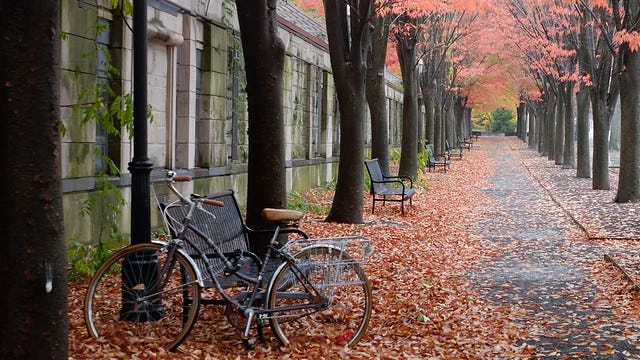 Along Nassau Street, with bicycle