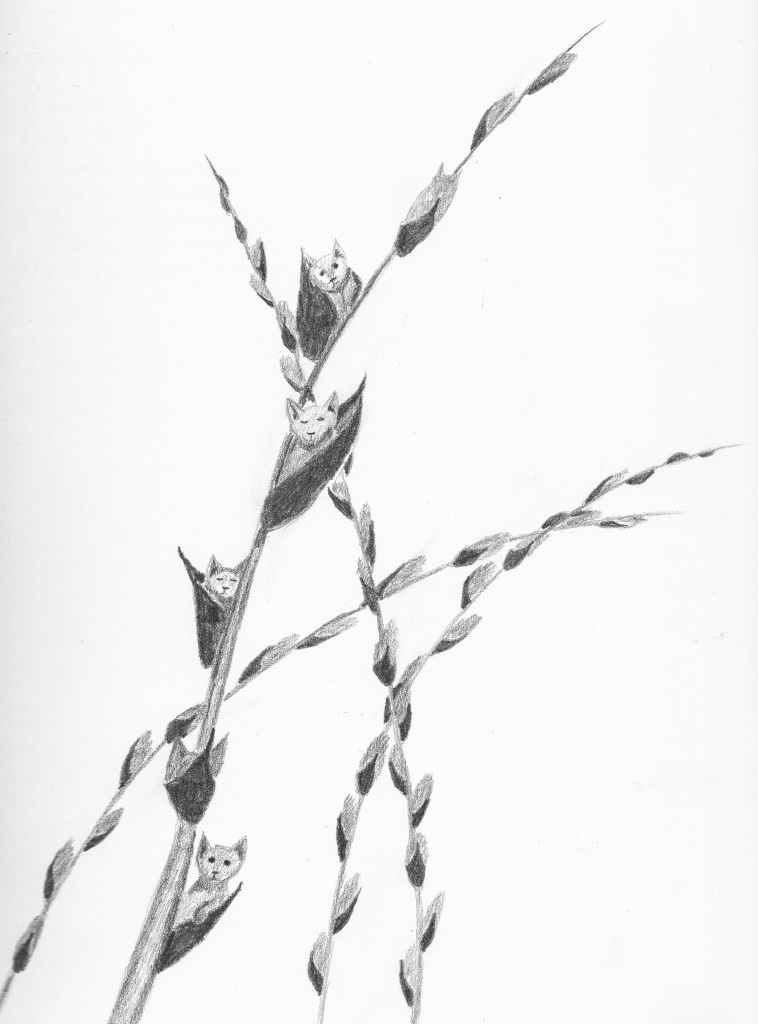 Day 73: Pussywillow (the original art of this is sold)