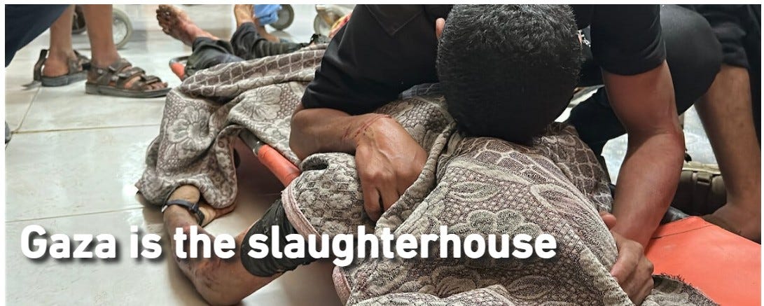 May be an image of 2 people and text that says '全画、 Gaza is the slaughterhouse'