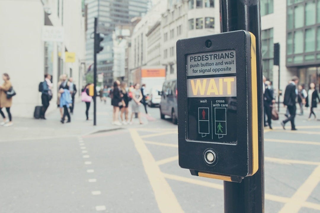 people walking on pedestrian lane during daytime people walking on pedestrian lane during daytime