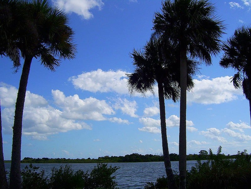 View of Indian River