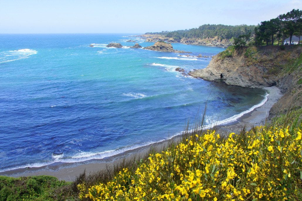 Mendocino coast line