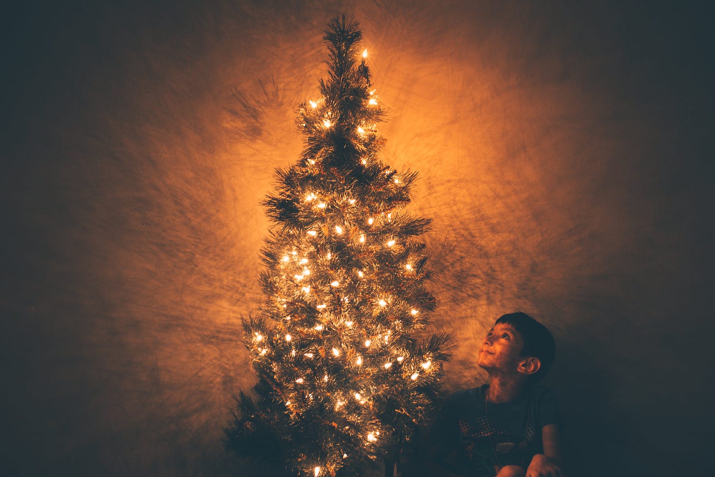 Child admiring a decorated Christmas tree