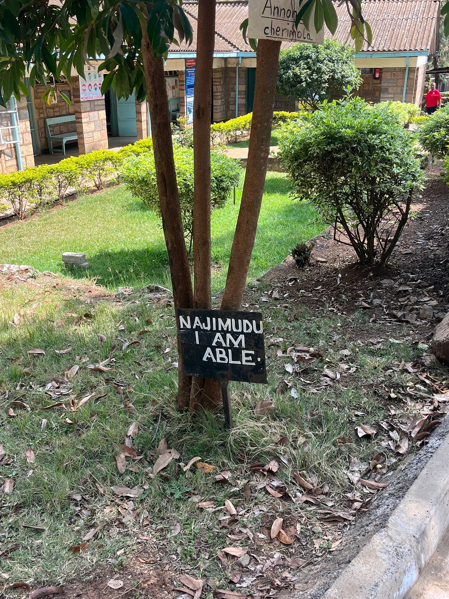 The sign reading 'I am able' in the grass in front of a tree