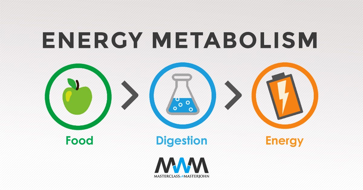 Energy Metabolism