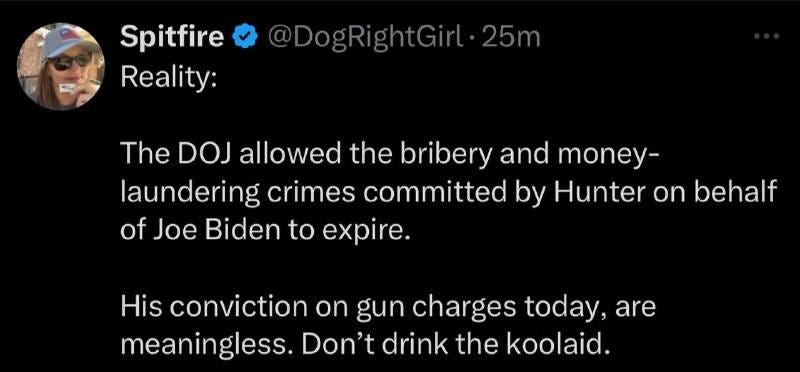 May be an image of 1 person and text that says 'Spitfire Reality: @DogRightGirl.25m 25m The DOJ allowed the bribery and money- laundering crimes committed by Hunter on behalf of Joe Biden to expire. His conviction on gun charges today, are meaningless. Don't drink the koolaid.'
