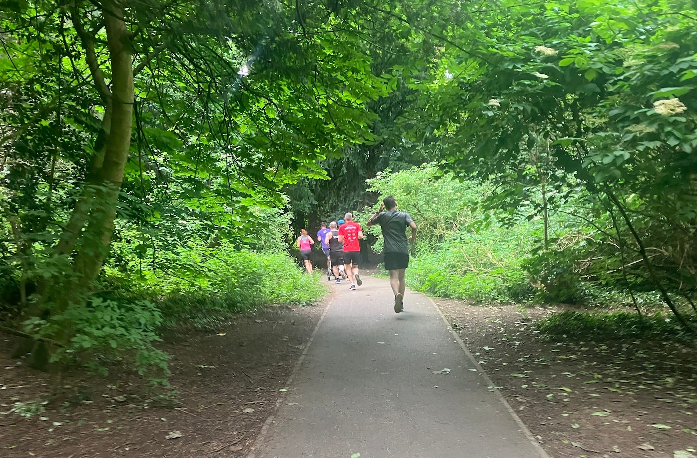 A narrow tarmac path into the woods