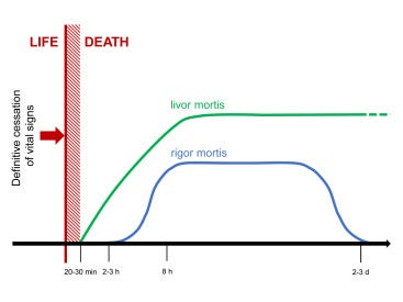 Determination of Death in Mountain Rescue: Recommendations of the  International Commission for Mountain Emergency Medicine (ICAR MedCom) -  ScienceDirect