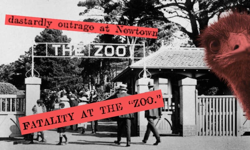 A vintage photo of people entering "The Zoo" with a decorative gate, overlaid with red text reading "dastardly outrage at Newtown" and "fatality at the 'zoo.'" A close-up of an emu's face is on the right side of the image.