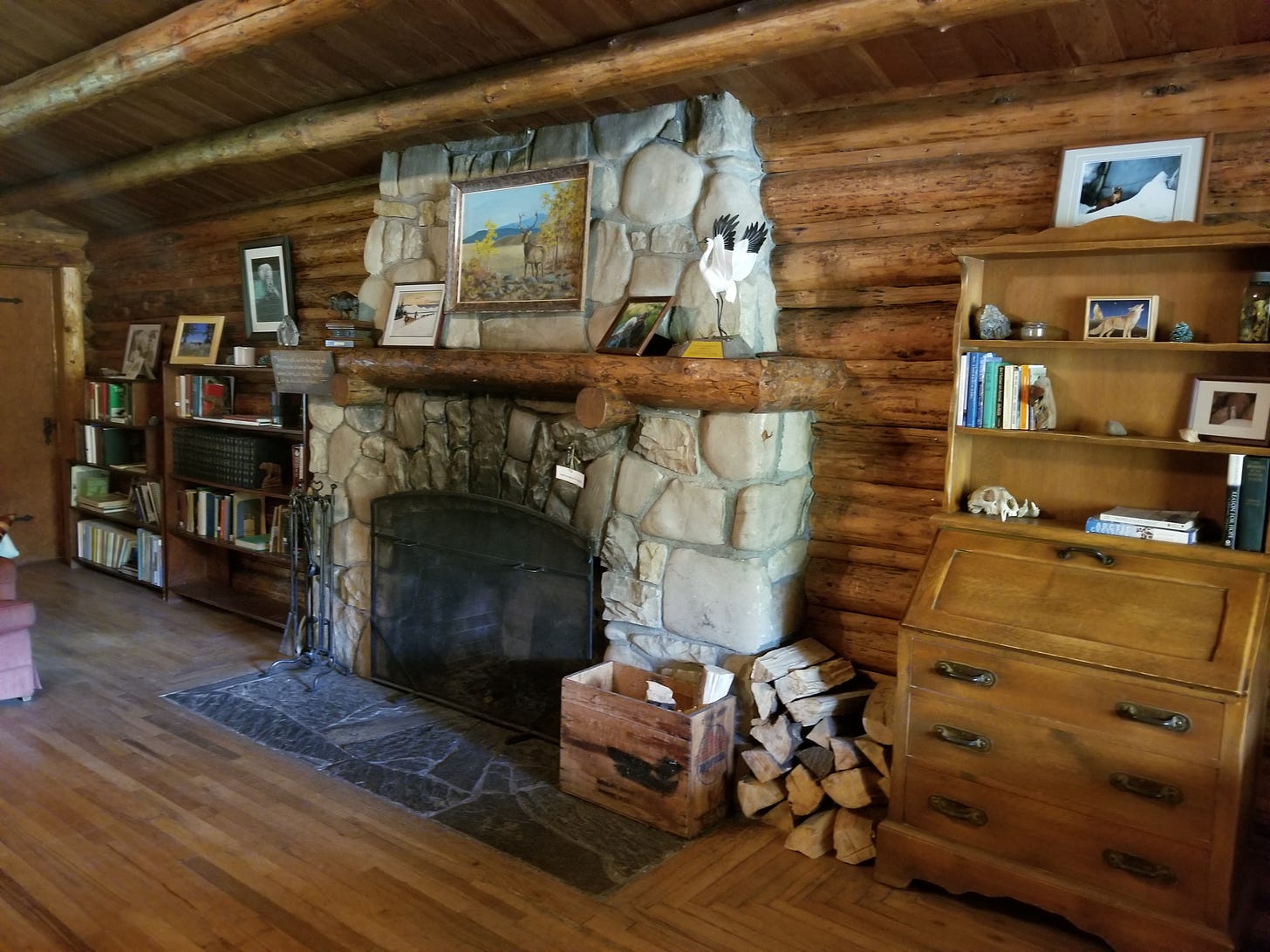 stone fireplace in log cabin, framed by bookshelves