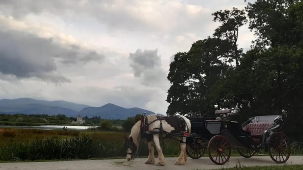 Visitor's Guide to Killarney National Park