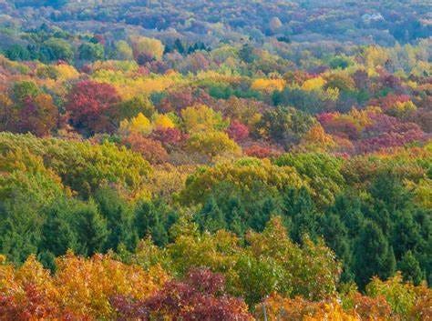 Hiking in the Kettle Moraine State Forest This Fall - Wisconsin Bed and ...