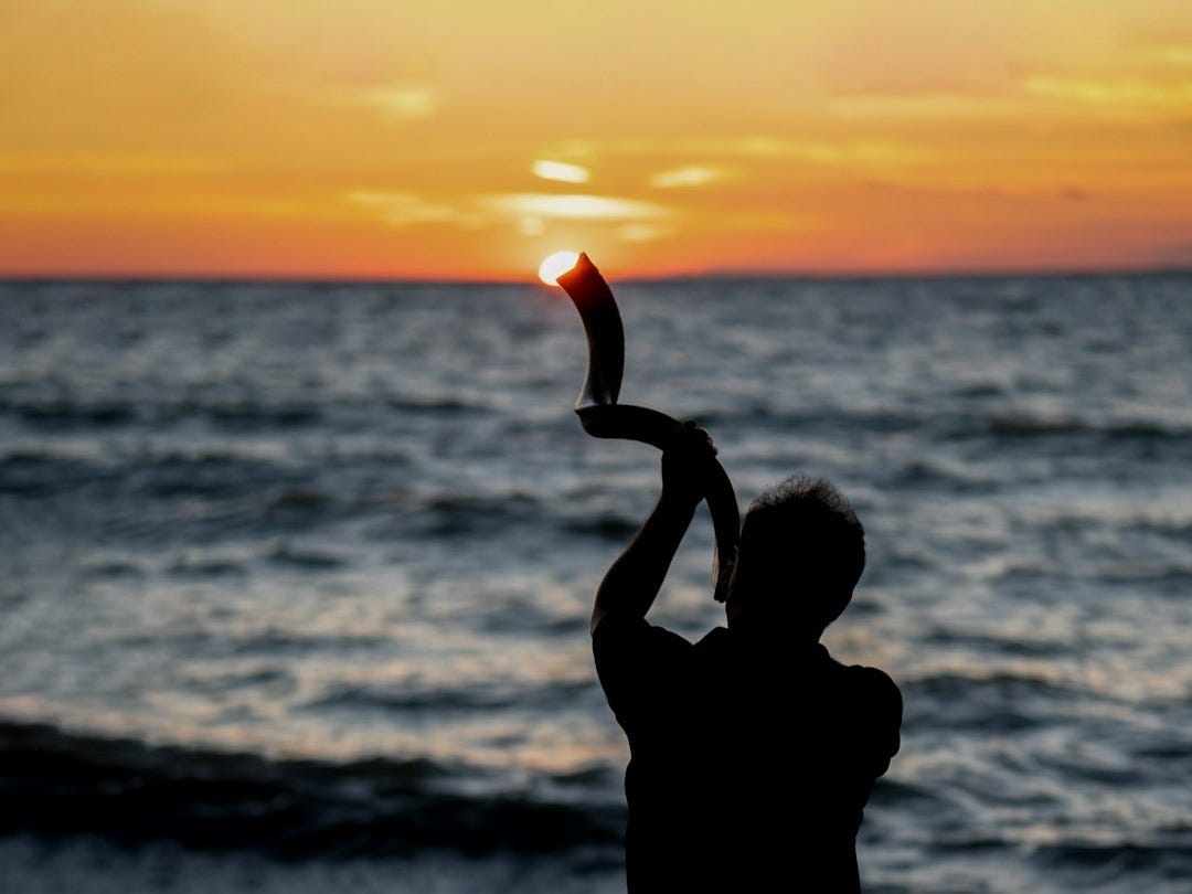 a person standing on a beach holding a kite