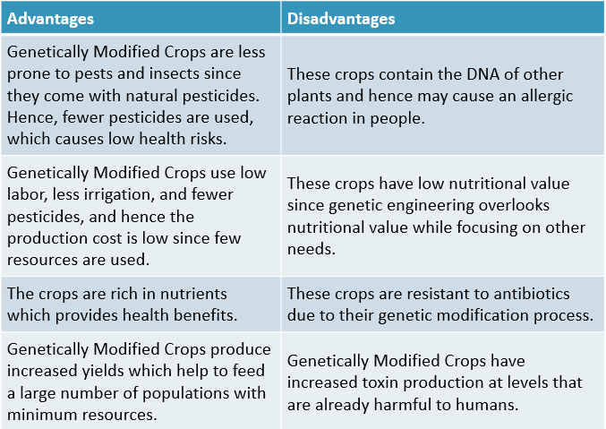 Genetically Modified Crops Advantages and Disadvantages | Advantages ...