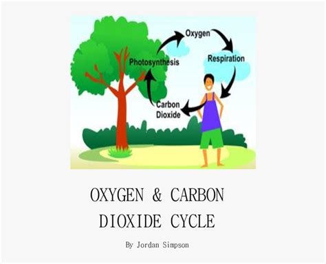 Tree Give Us Oxygen, HD Png Download - kindpng