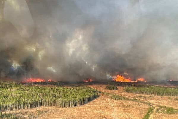 Smoke and fire are visible on the horizon past bare land and trees.