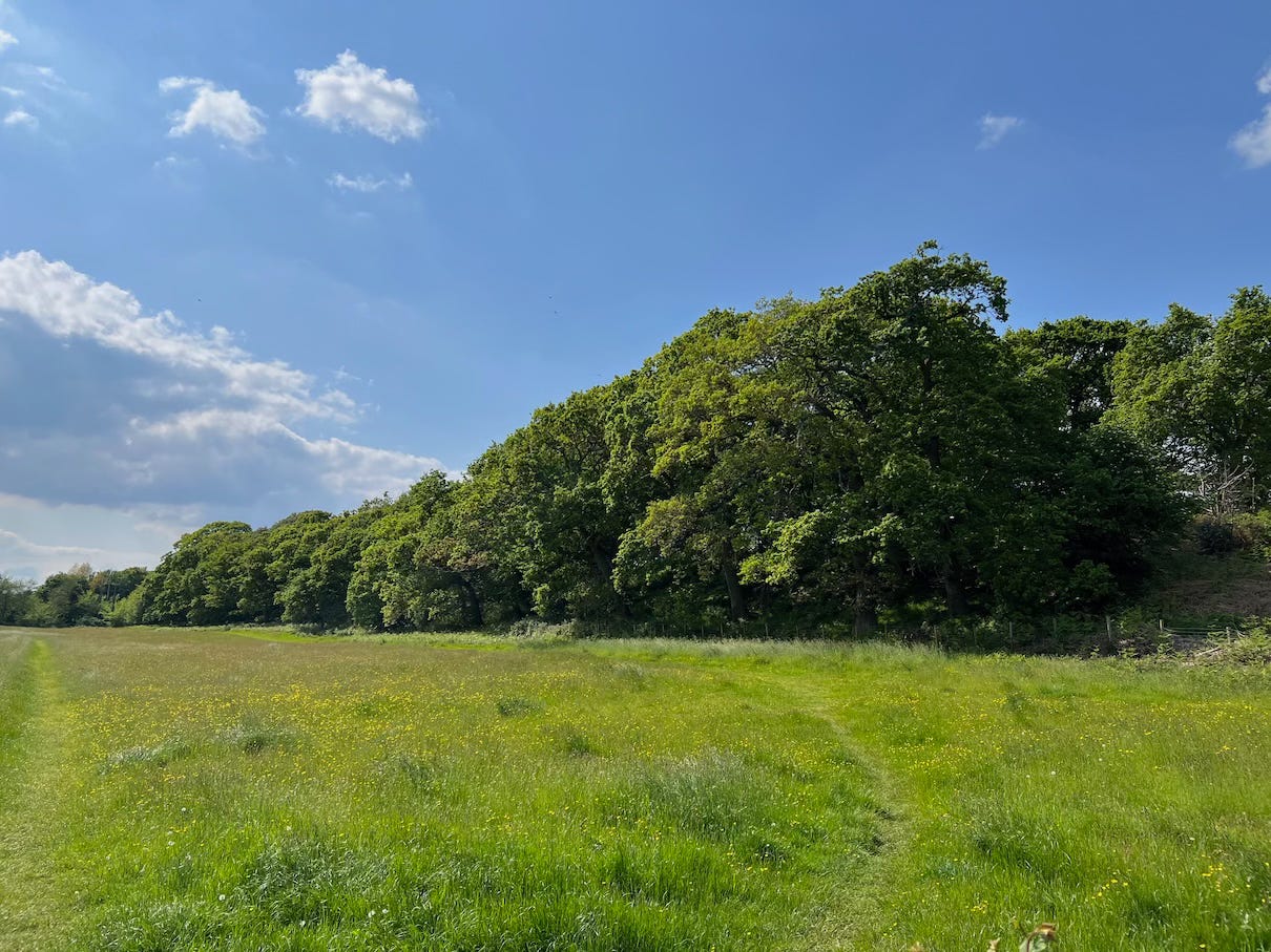 Photo by Author — out for a healthy walk on a summer’s day