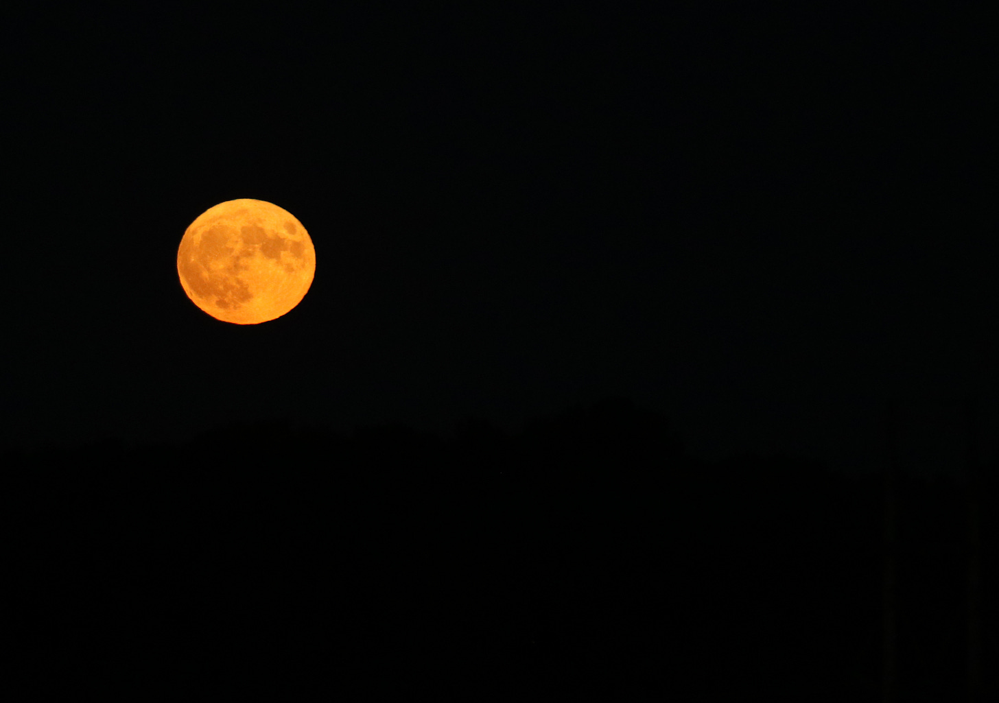 The full moon, tinted orange-gold, hovers in the middle of an otherwise all-black field.