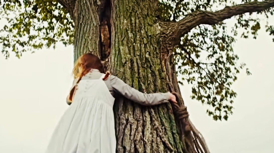 https://lifewithalegria.com/2022/04/22/anne-with-an-e-and-the-beauty-of-nature/