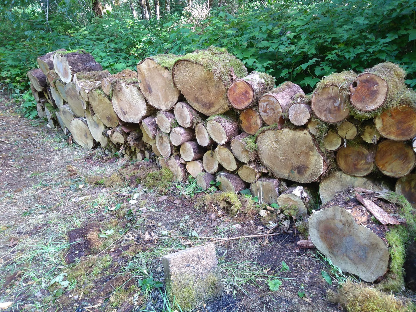 A long stack of cut logs, some of them 18 inches across.