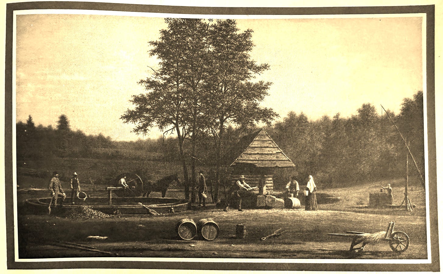 Old-fashioned cider making scene.