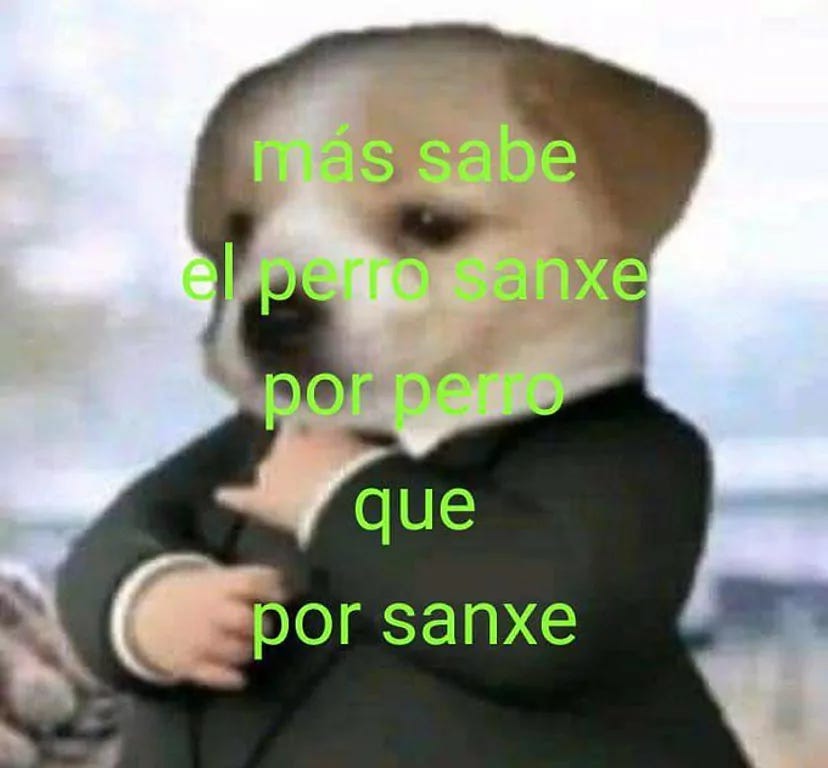 El año del perro, ¿verdad sanxe?: el 'merchandising perruno' se agotó el  23-J, pero su 'Tierra firme' no hay quien se lo compre | Crónica