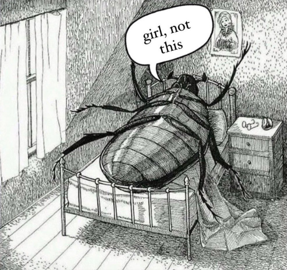 reactions on X: "kafka metamorphosis roach in bed girl not this  https://t.co/Wtf8lJKHU7" / X