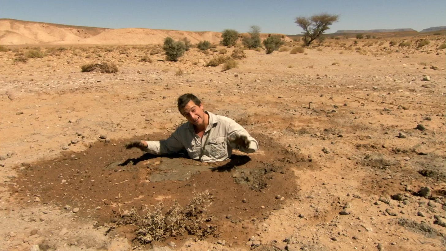 Man vs. Wild" Sahara (TV Episode 2007) - Photo Gallery - IMDb