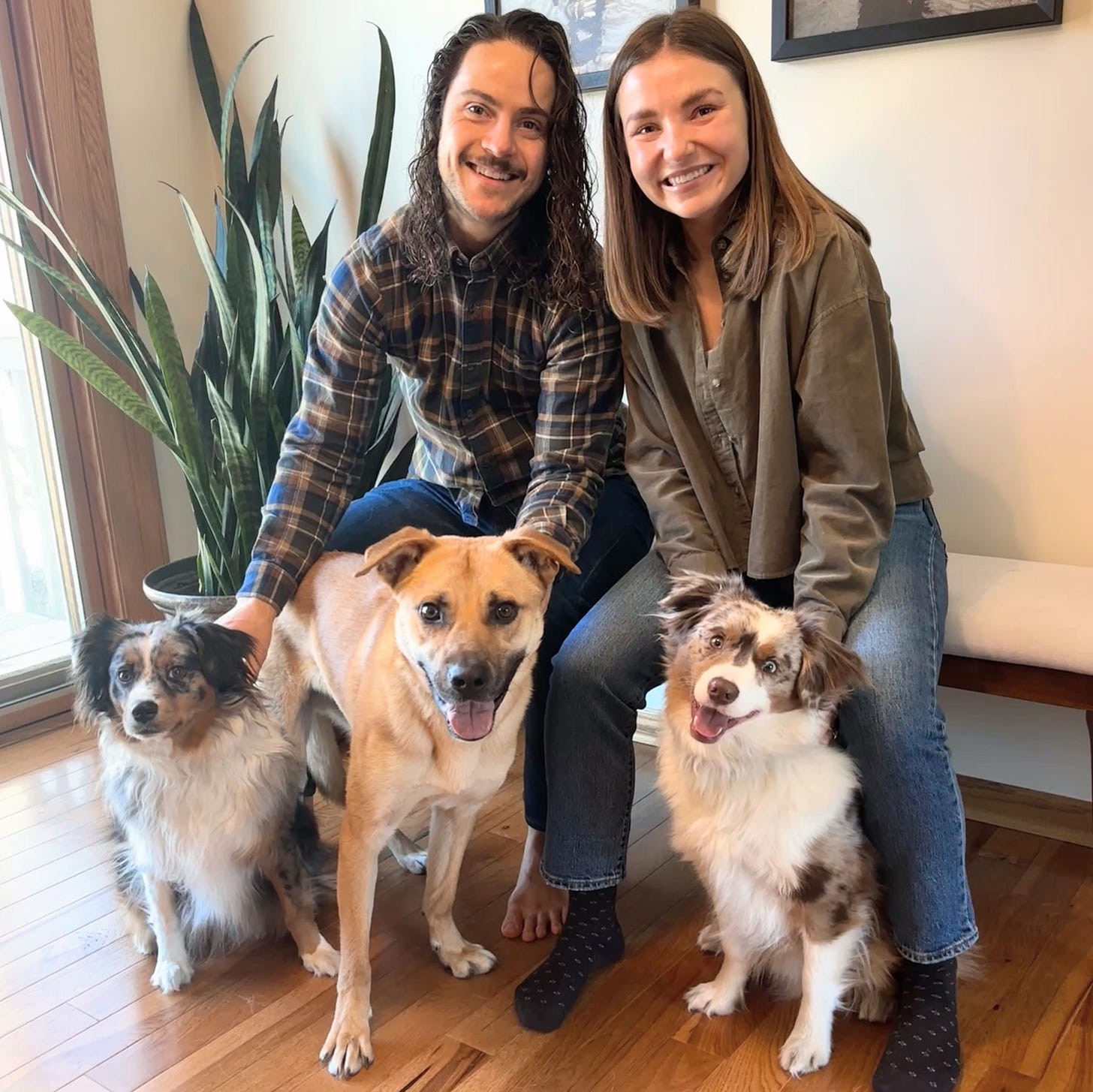 3 dogs and 2 people pose for the camera inside a house