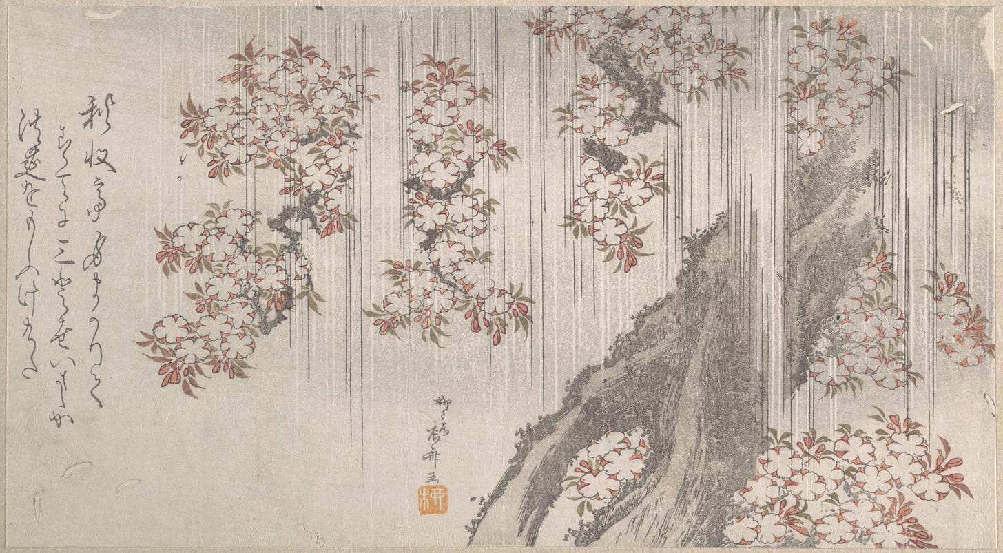 Faded image of cherry blossoms emerging from the branches of a tree, with long vertical slashes of black lines representing rain. Japanese script is seen at left and bottom center.